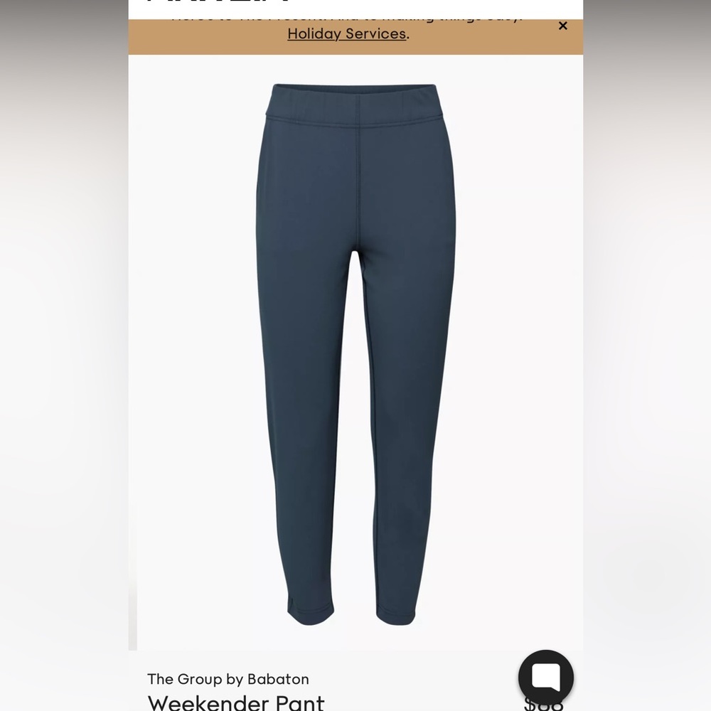 Aritzia Babaton Weekender Pant